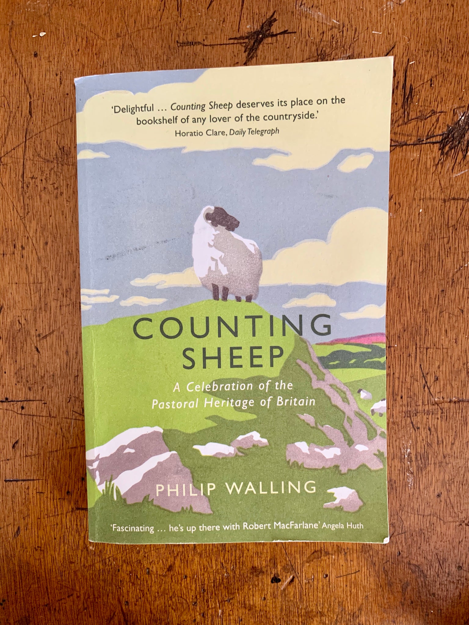 Book Counting Sheep by Philip Walling
